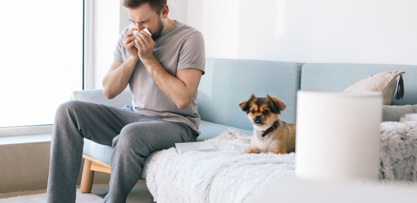 En fräschare tillvaro: Hur städning hjälper allergiker och Scent of Cleans roll i processen